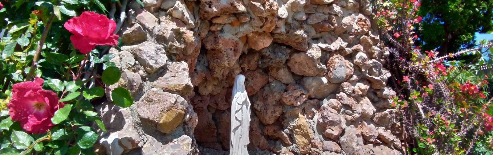 P_20200418_133128_vHDR_On_HP