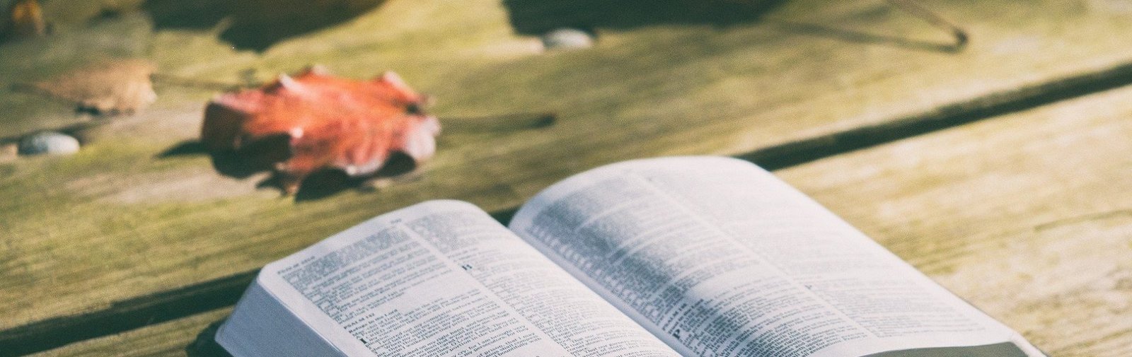 bible-gc021ce7eb_1920